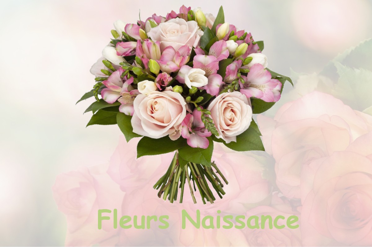 fleurs naissance CLAVANS-EN-HAUT-OISANS