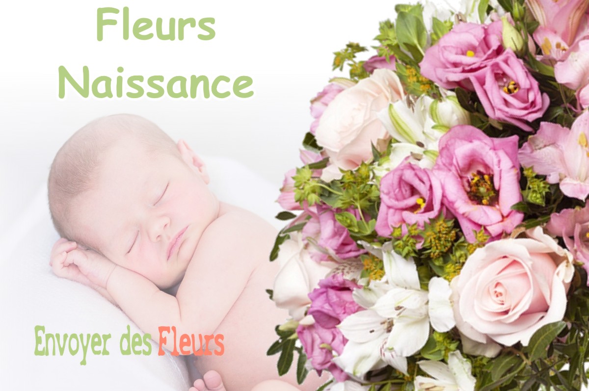 lIVRAISON FLEURS NAISSANCE à CLAVANS-EN-HAUT-OISANS